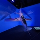 Výstava Bond in Motion — ikonická vozidla slavného agenta jsou poprvé k vidění v Praze